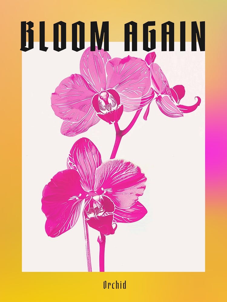 Hot Pink Orchid 2 Poster