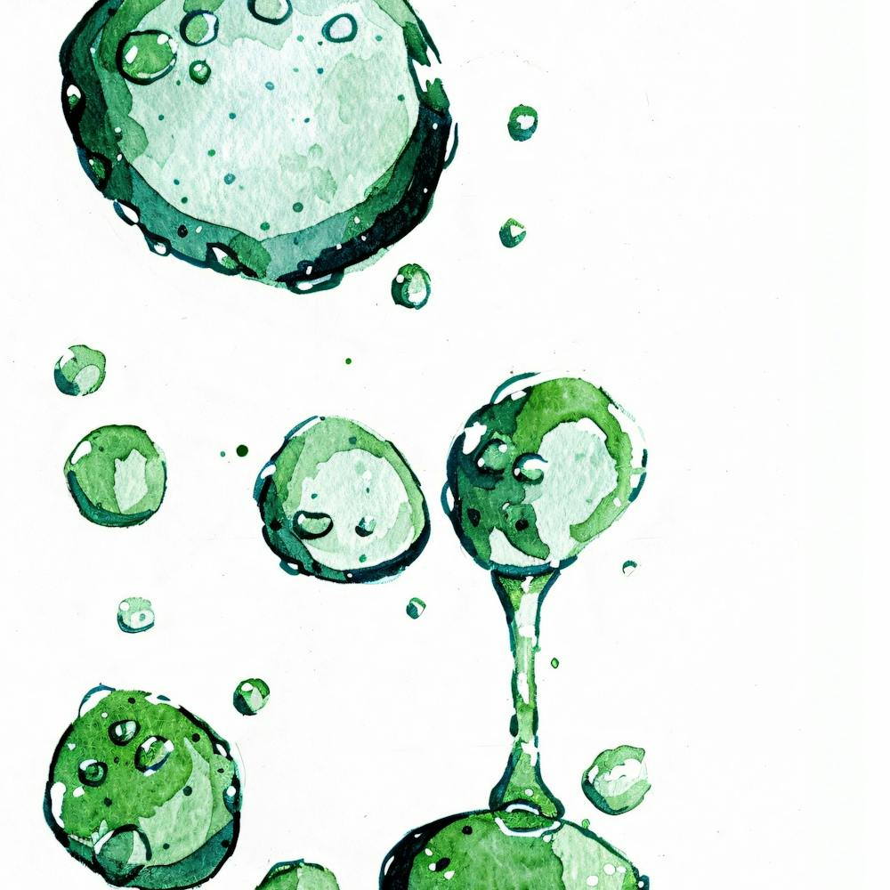 Water Droplets 1