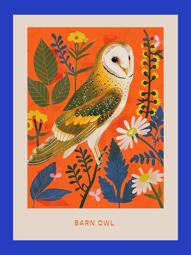 Spring Birds Poster Barn Owl 2