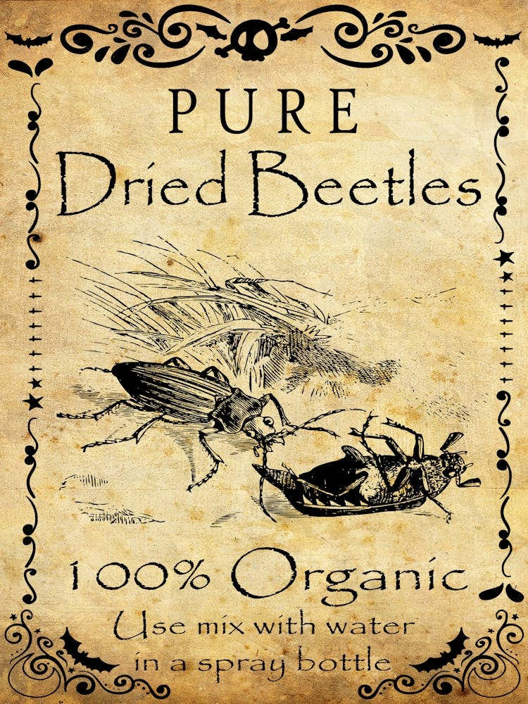 Pure Dry Beetles