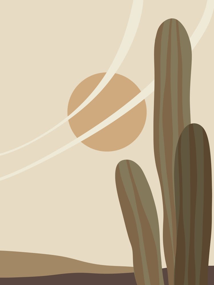 Cactus In The Desert 57
