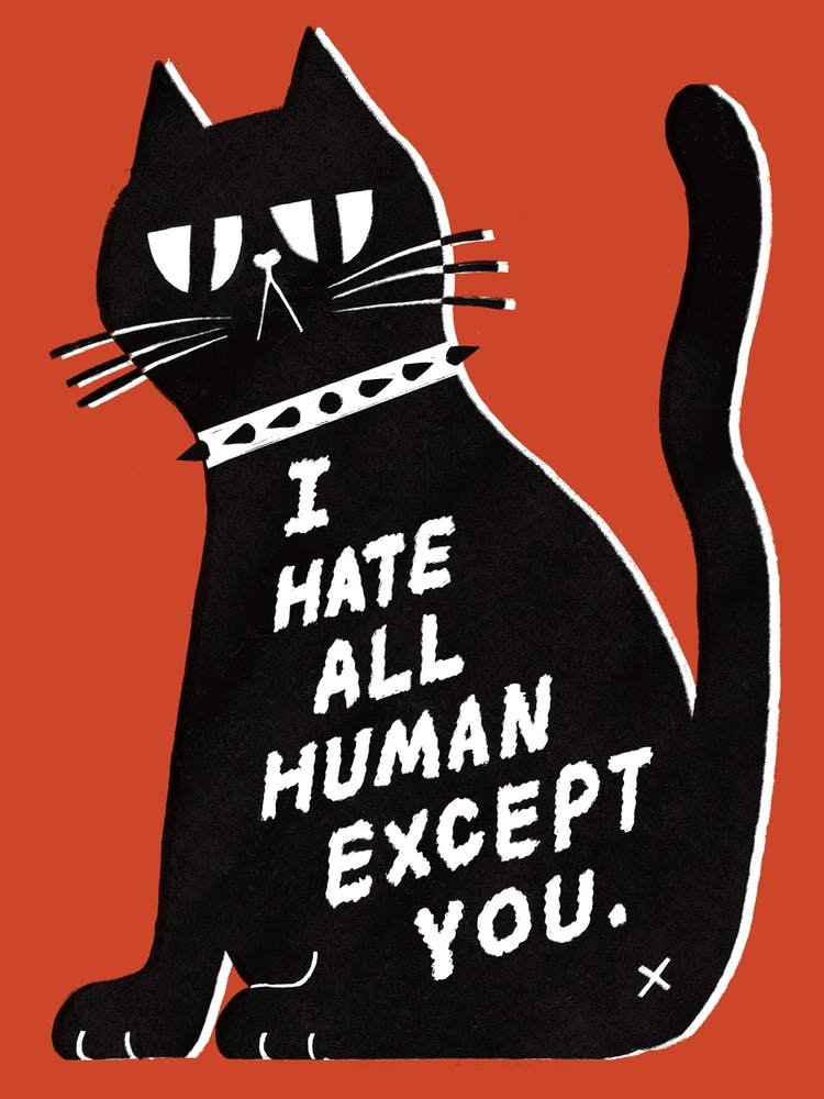 Mean Cat