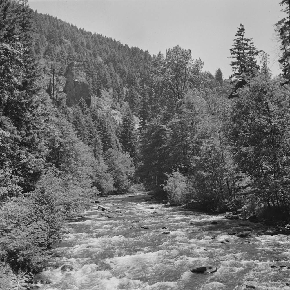 Unbetiteltes Foto, möglicherweise bezogen auf Willamette National Forest, Lane County, Oregon, Salt Creek von Russell Lee