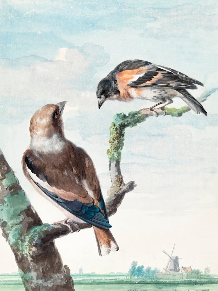 Vintage Bird_2835726