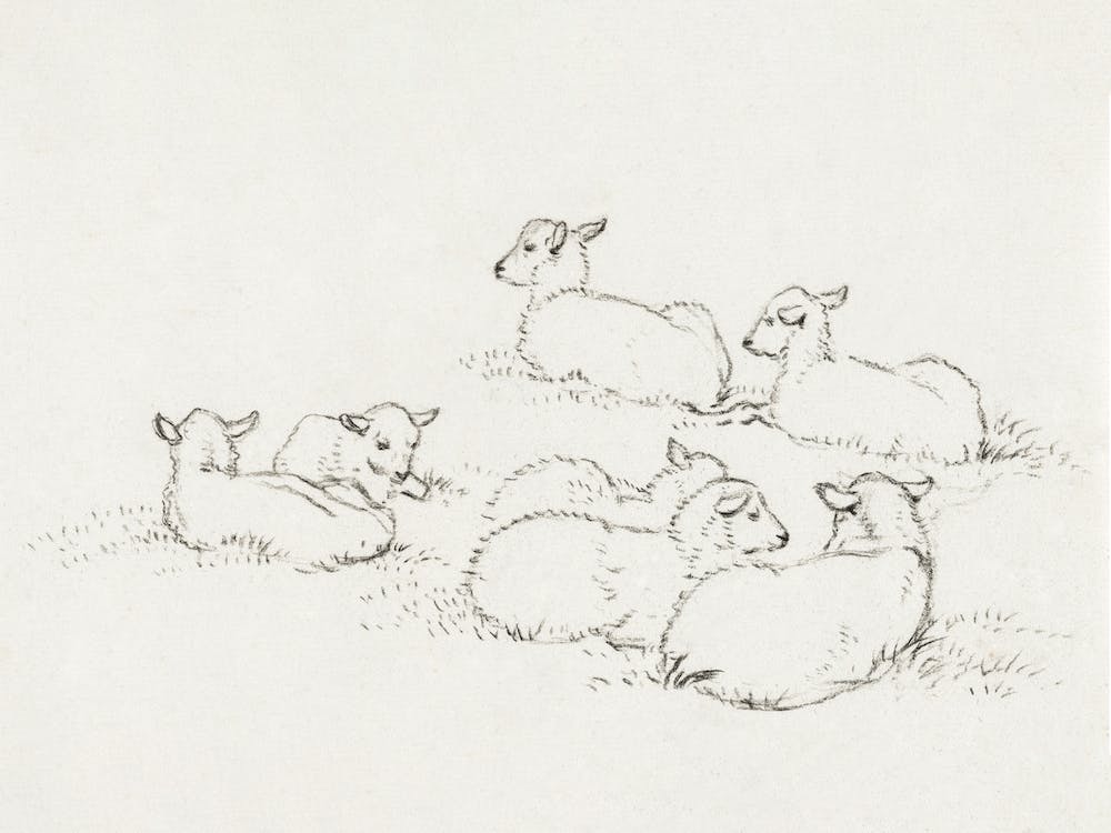 Six Lying Lambs, Jean Bernard