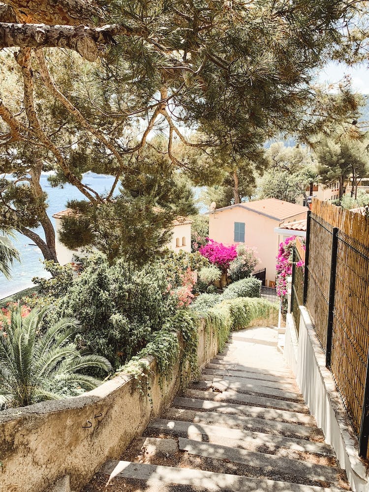 Flower Lined Walkway