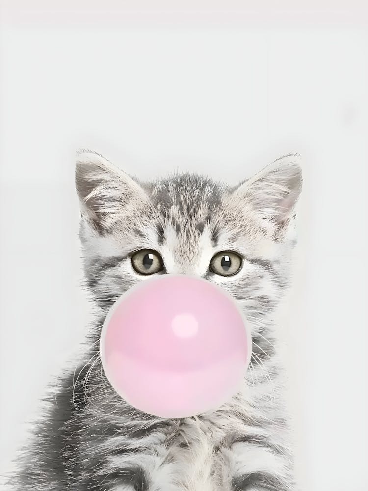 Pink Gumball Canvas Print