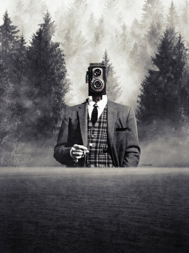 Through The Lenses Of Diversity