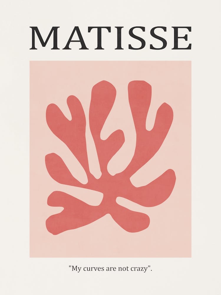 Inspired by Matisse - Red Flower 03