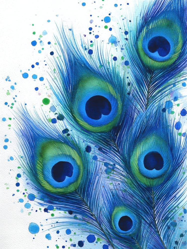 Aihrgdesign Isolated Watercolor Painting Of Birds Peacock Fea 247d7a95 B62b 478a 9d32 9ced504f8d47 1