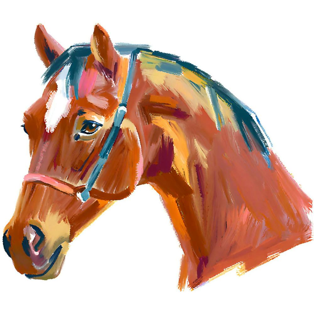 Quarter Horse 03