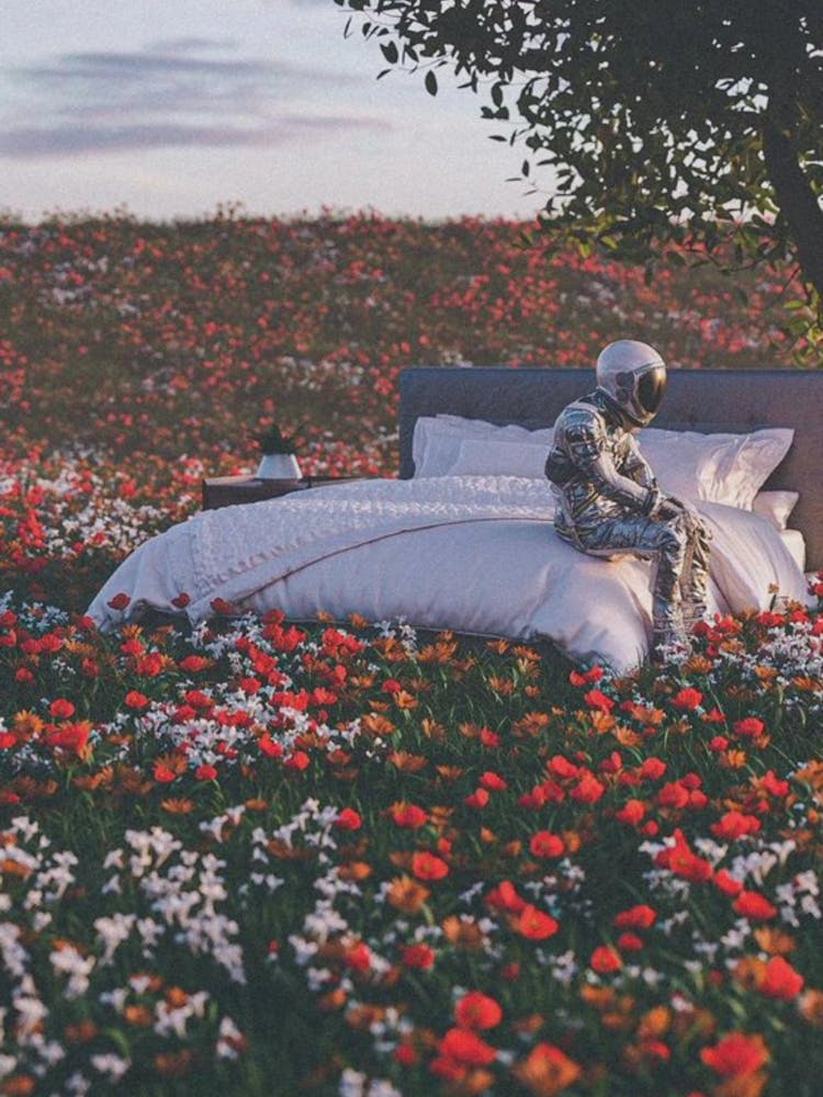 Flower Field