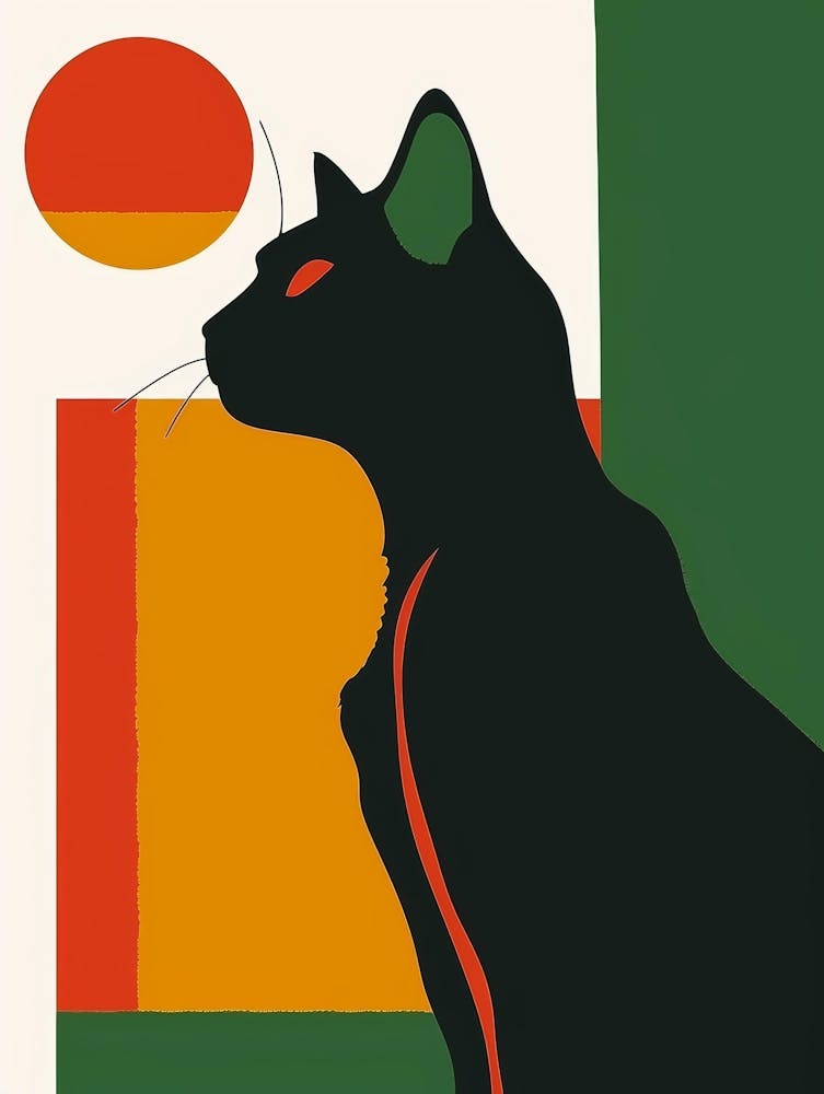 Cat In The Sun 5