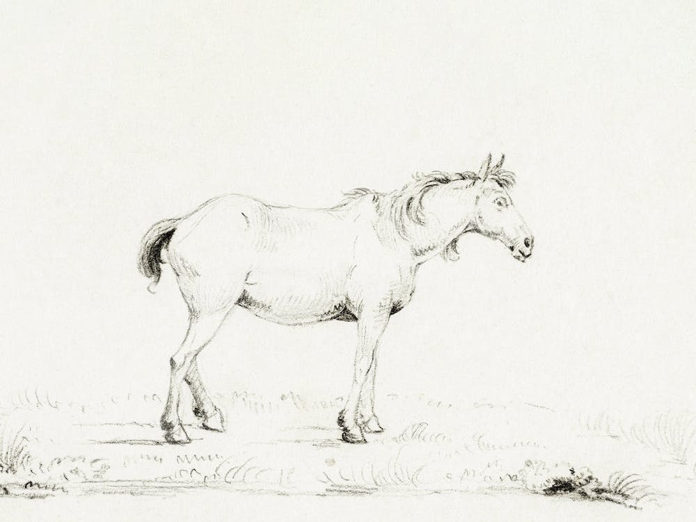 Standing Horse 1, Jean Bernard