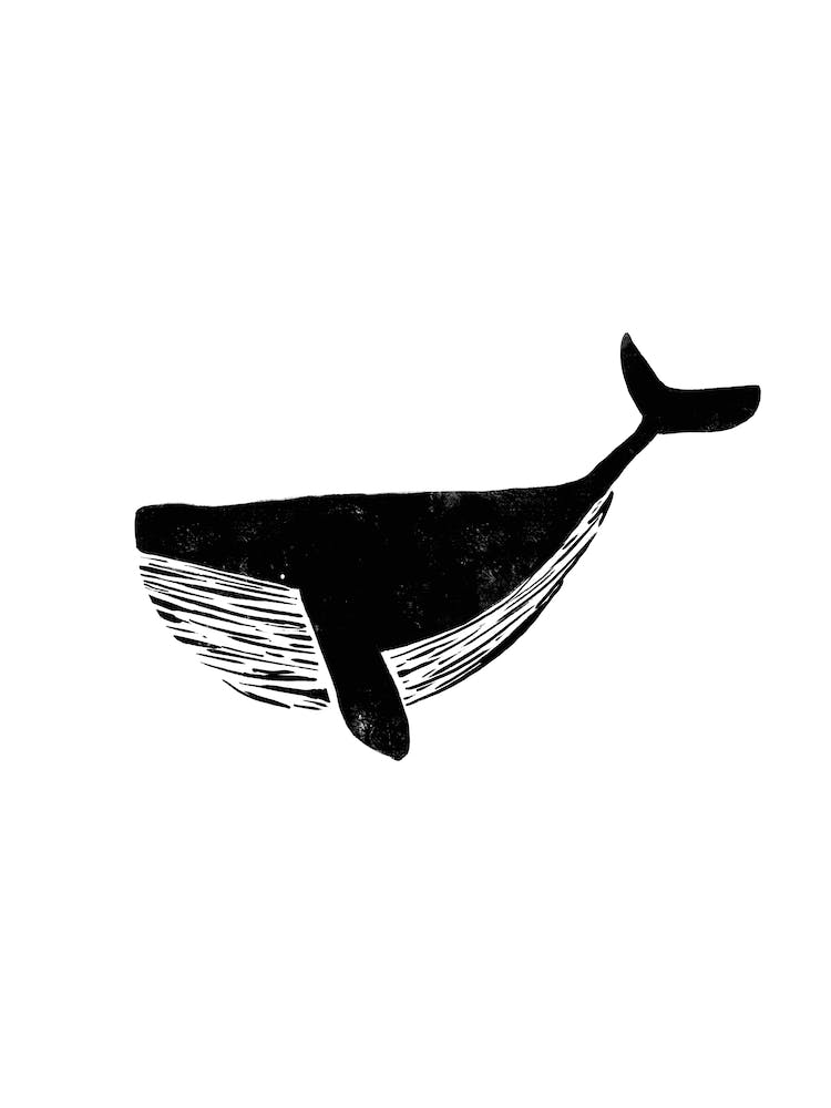Whale Black and White