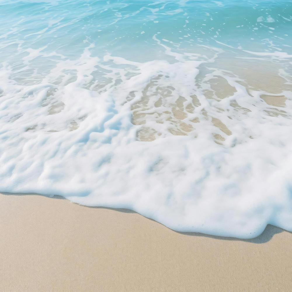 Beach White Sand Dunes