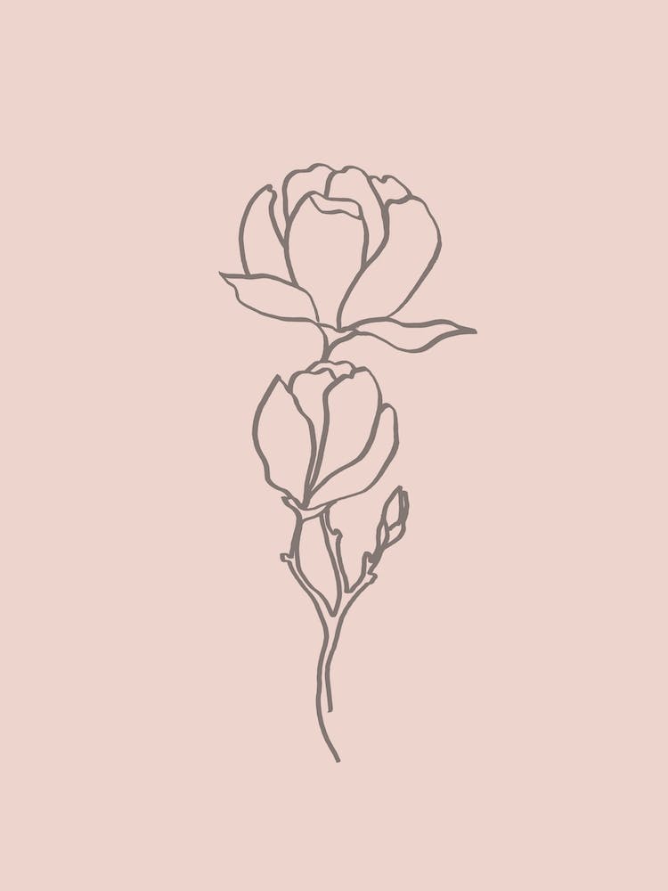 Blush Pink Magnolia Line Art