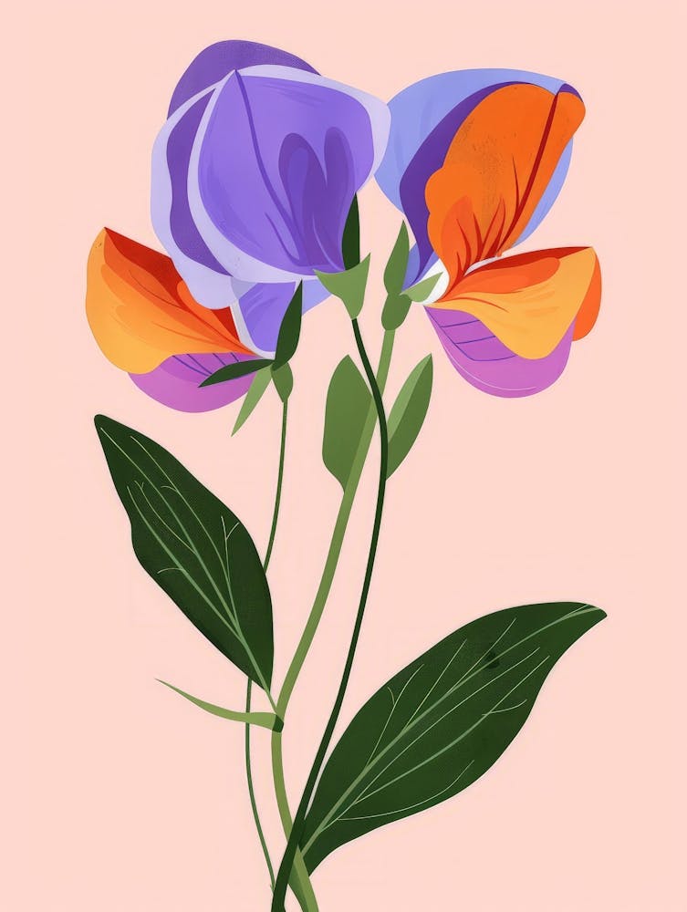 Sweet Peas 5