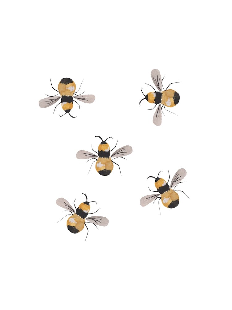 Hummel