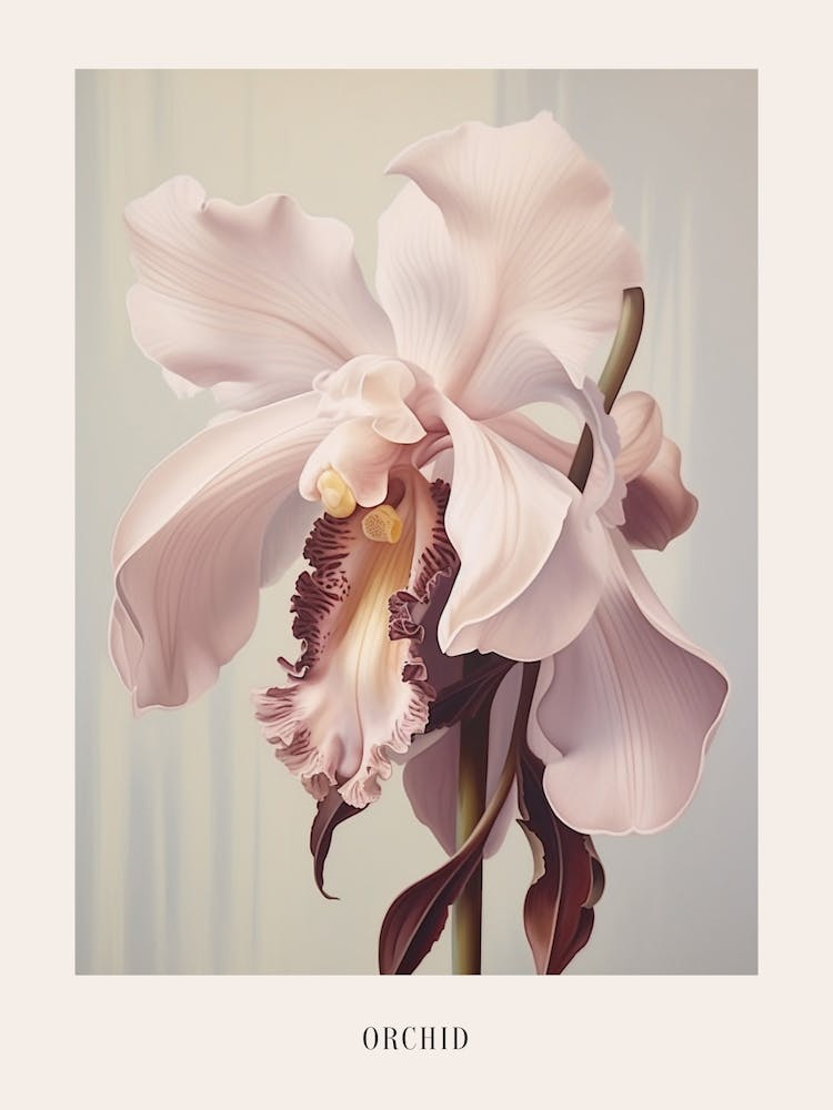 Floral Illustration Orchid 1 Poster