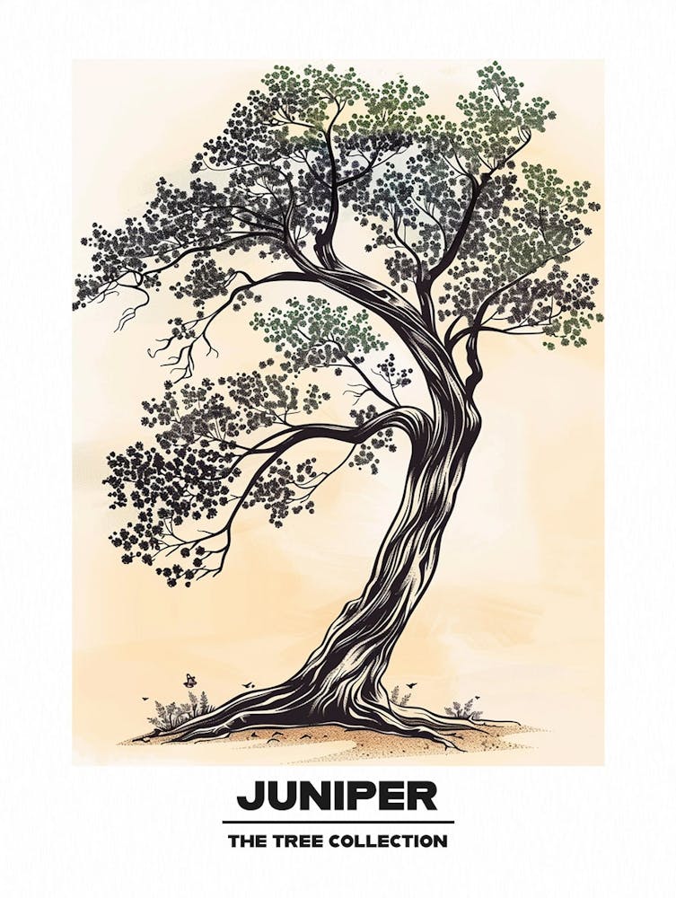 Juniper Tree Storybook Illustration 2 Poster