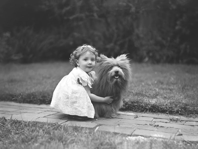 Little Girl With Dog, Scottish Terrier, Vintage Black and White Old Photo