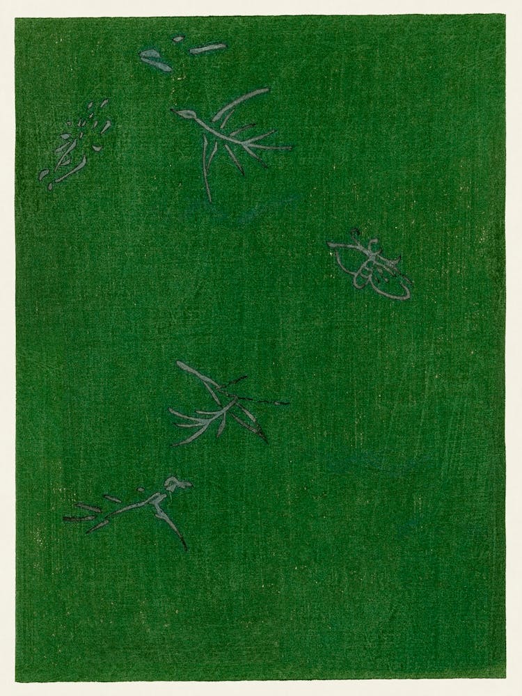 Japanese Vintage Original Woodblock Print From Yatsuo No Tsubaki, Taguchi Tomoki 21