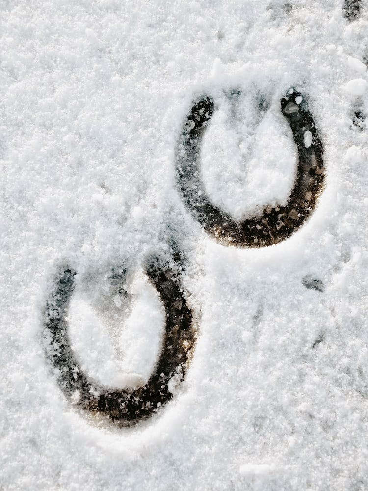 Horseshoe Prints