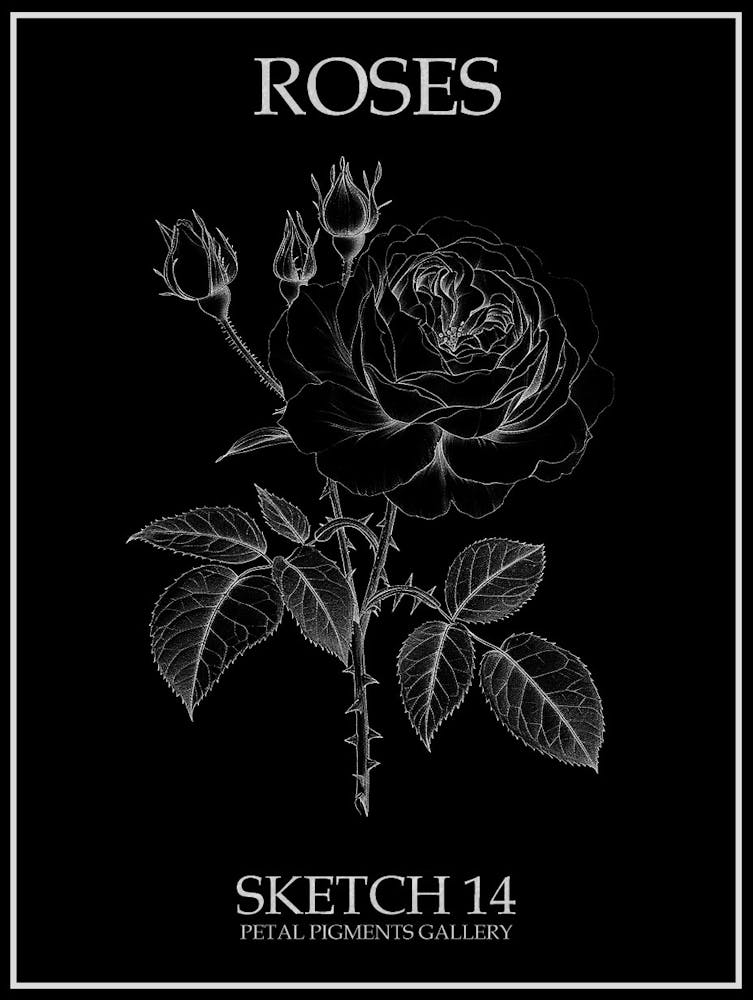 Roses Sketch 14 Poster Inverted