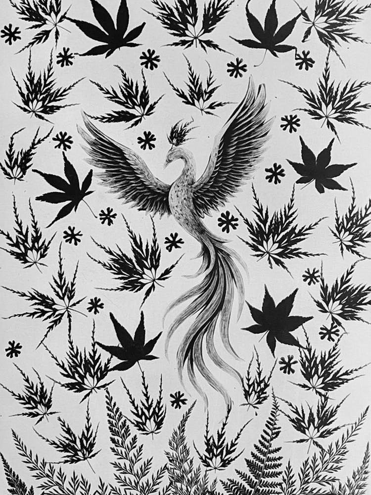 White Phoenix