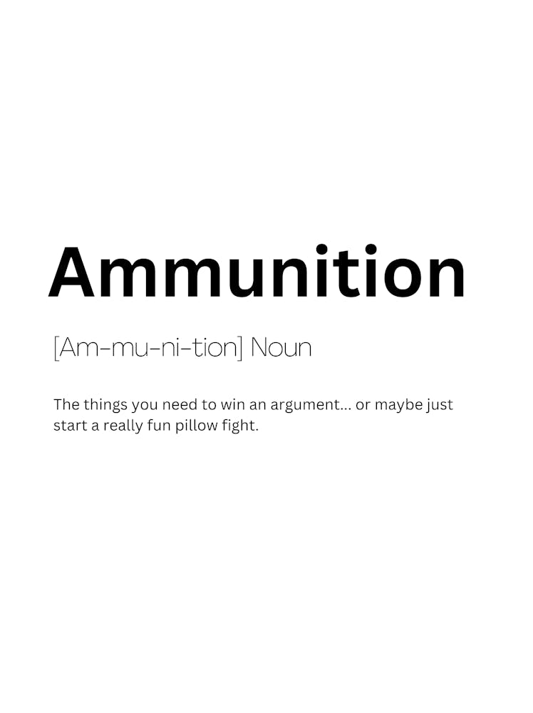 Ammunition Definition Meaning