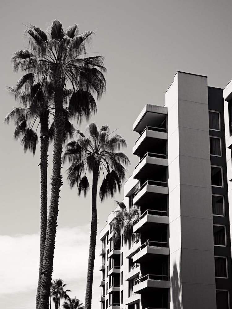 San Diego, Black And White Analogue Photograph 2