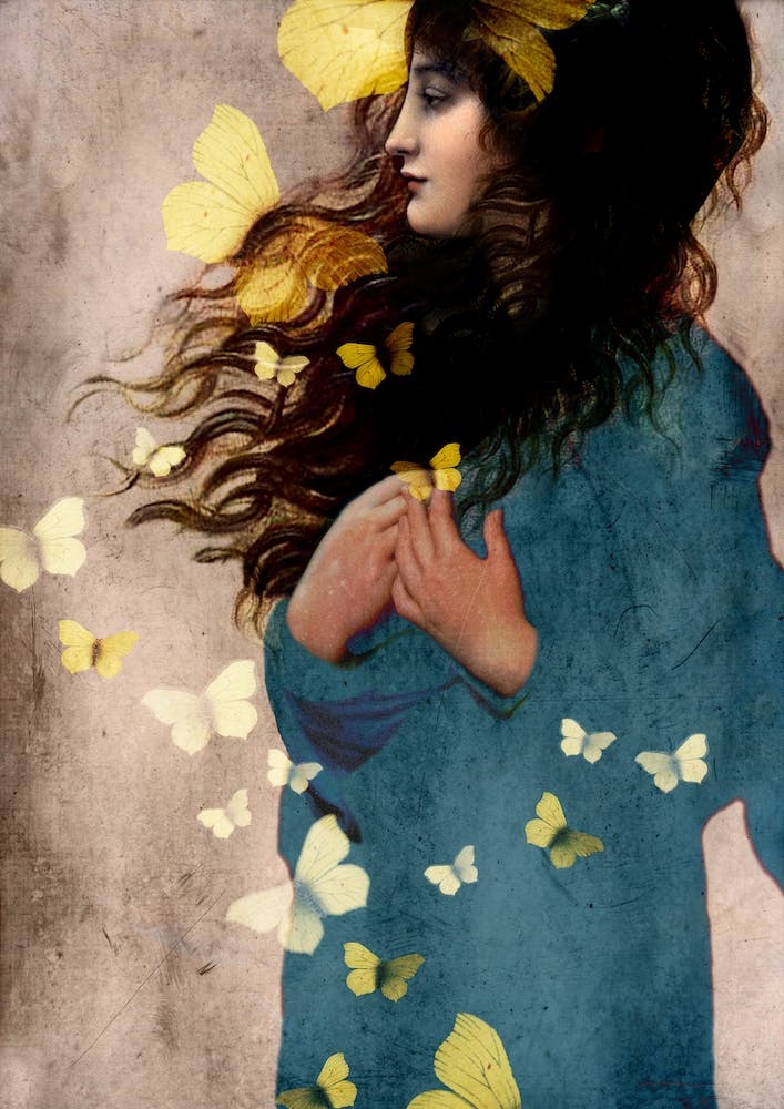 Bye-Bye Butterfly