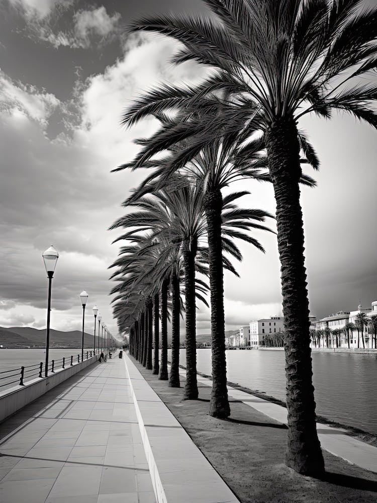 Palma De Mallorca, Spain, Black And White Photography 3