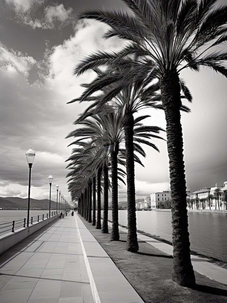 Palma De Mallorca, Spain, Black And White Photography 3