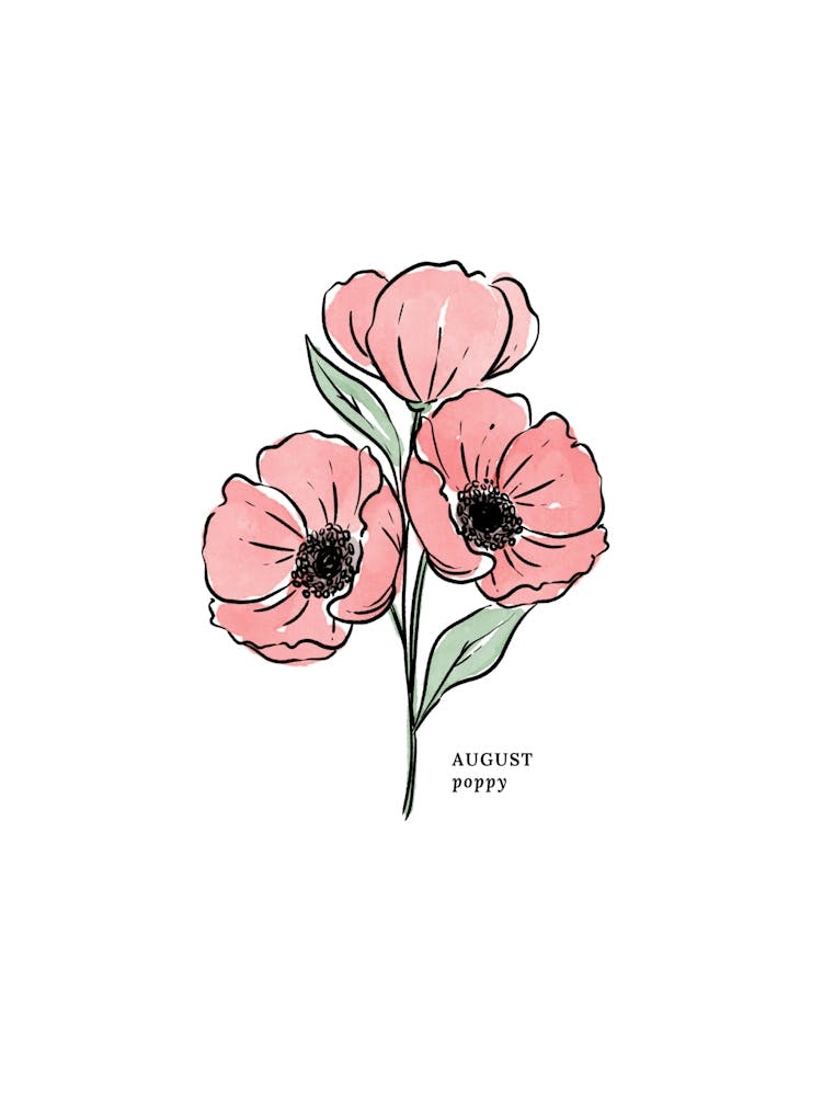 August Poppy Birth Flower 1