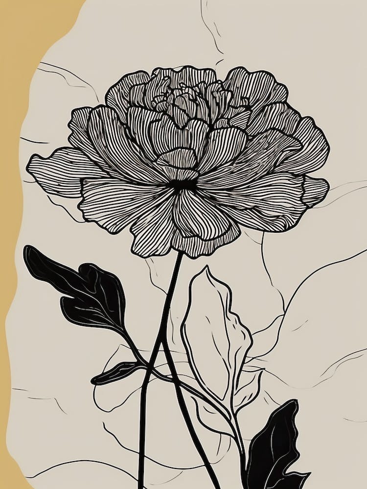 Line Art Marigold Flowers Illustration Neutral 2