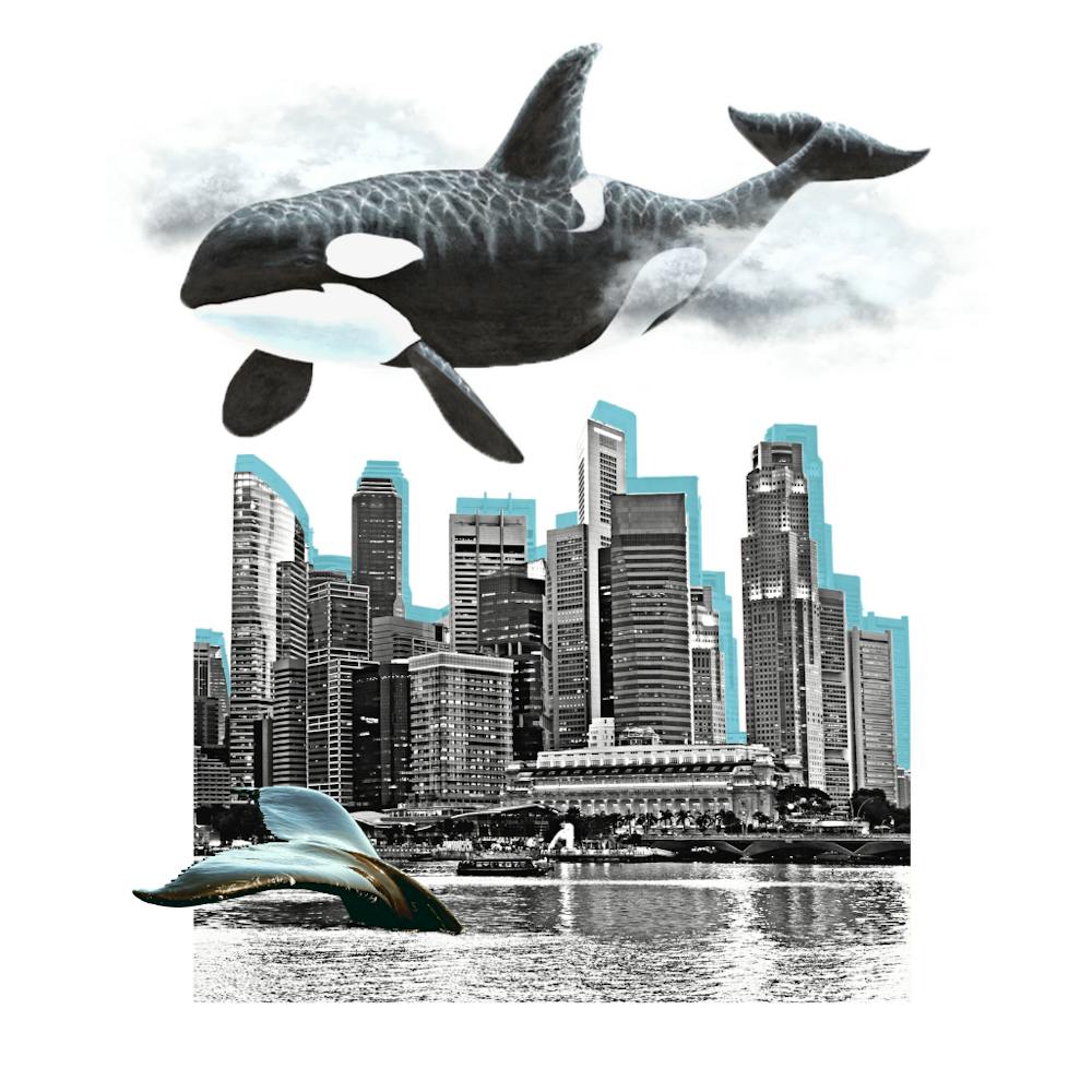 City Of Whales Sticker