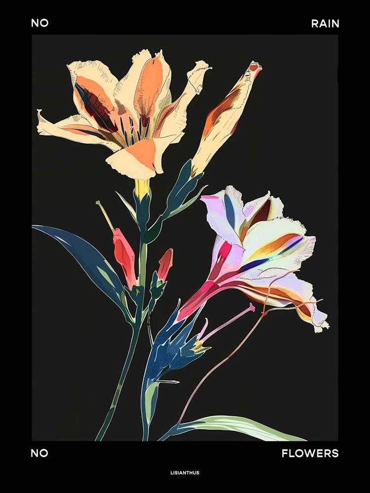 No Rain No Flowers Poster Lisianthus 3