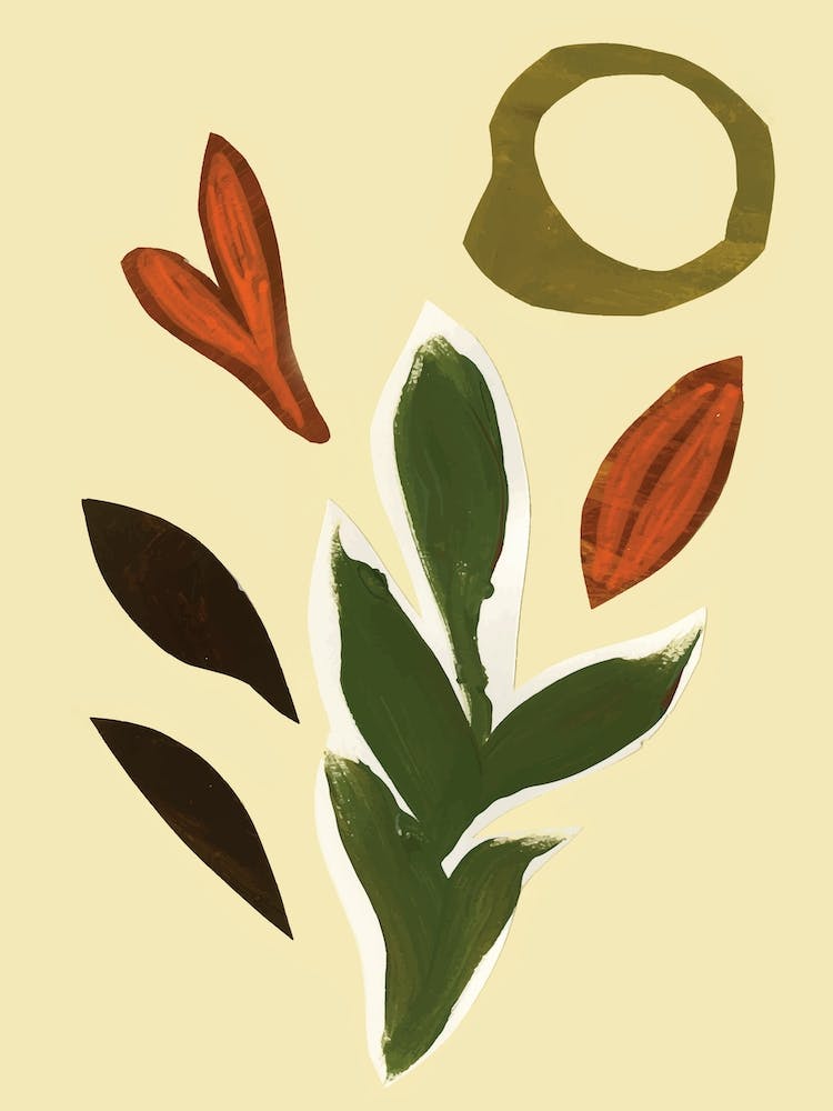 Modern Bontanical Shapes