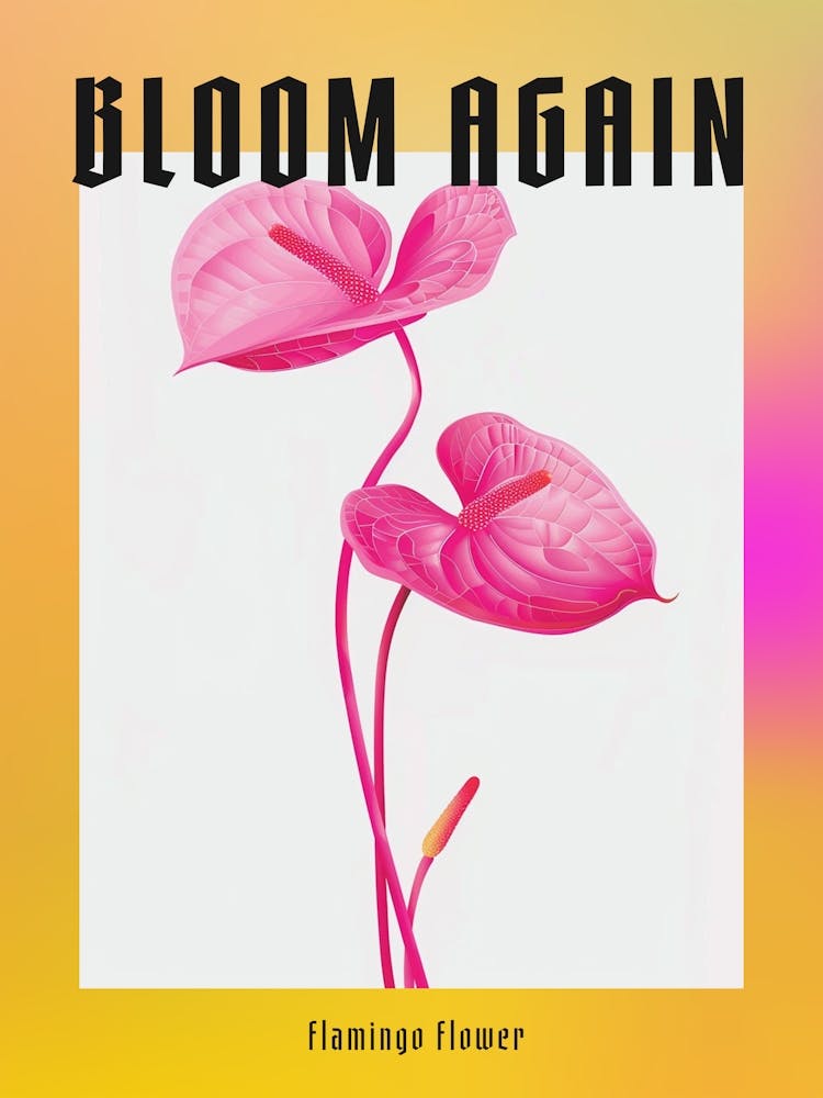 Hot Pink Flamingo Flower 2 Poster