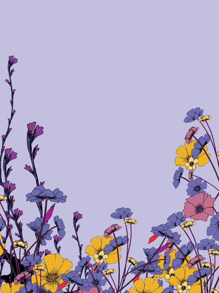 Wildflowers 3