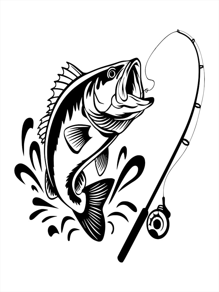 Bass Fishing