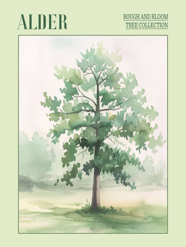 Alder Tree Atmospheric Watercolour Painting 2 Poster