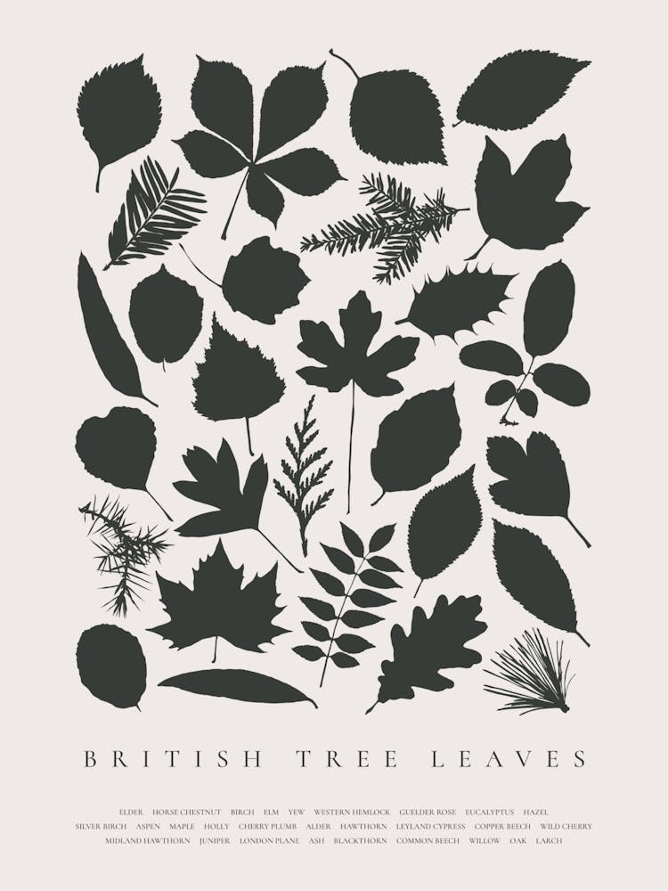 British Tree Leaves. Leaf Silhouettes 1