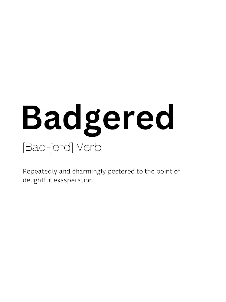 Badgered Definition Meaning