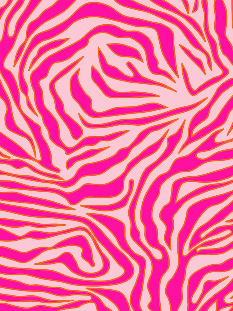 Zebra Stripes Pink And Orange