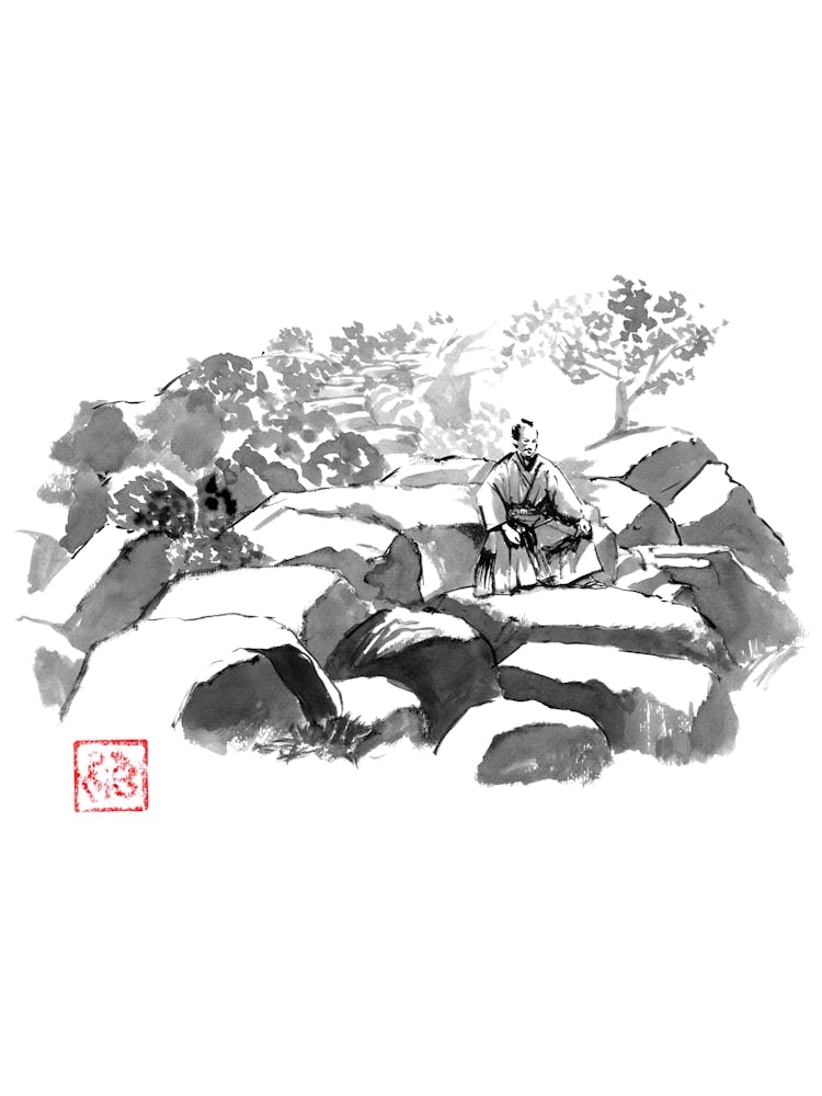 Samurai On The Rocks