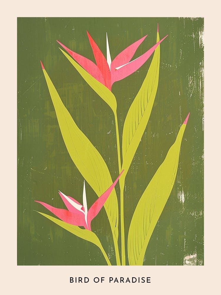Pink & Green Bird Of Paradise 2 Flower Poster