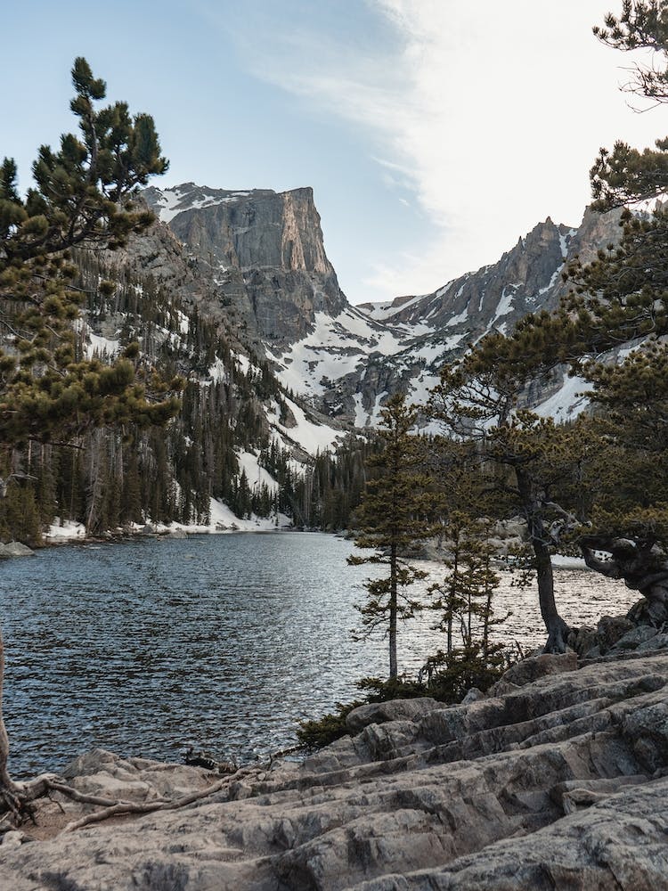 Forested Lake Views